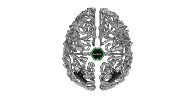 brain sculpture